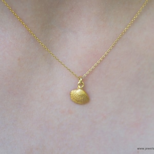 Tiny Sea shell GOLD jewelry pendant.Solid Gold Real Sea Shell Necklace, 9k 14K or 18k with chain , minimal gift for women and girls