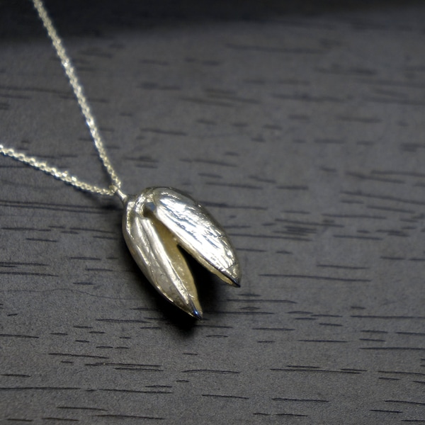 Sterling silver, Real Pistachio Nut Pendant necklace. The pistachio is a symbol of rejoice, nature, wealth.