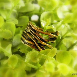Anillo de rama de pino auténtica, joyería natural hecha a mano, anillo de bosque orgánico, regalo para la suerte y la protección, latón oxidado ecológico y sostenible.
