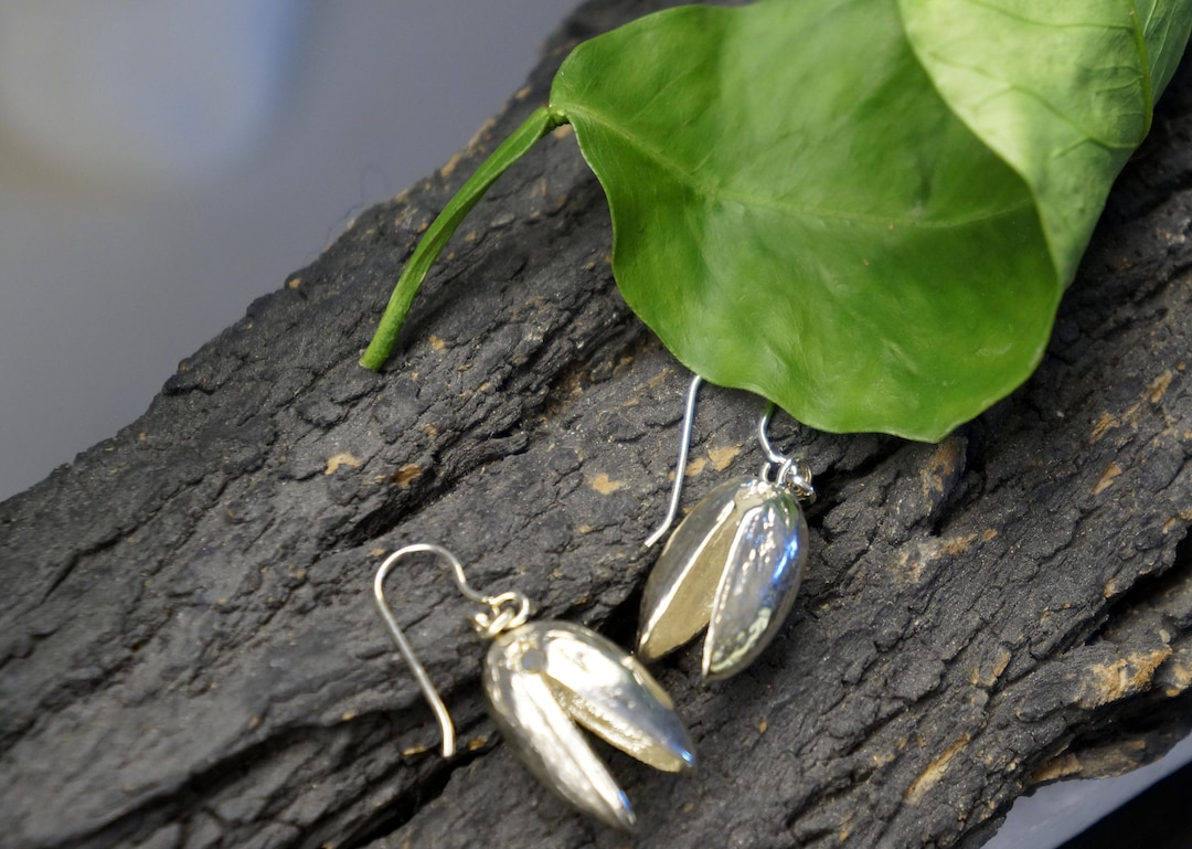 Real Pistachio Earrings in Sterling Silver 925. Etsy