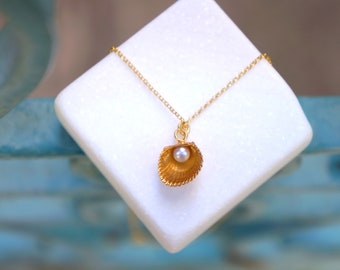 Solid GOLD sea shell necklace with freshwater Pearl. Necklace pendant with Gold chain or without.Symbolize evolution, life and longevity