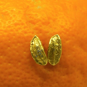 Gold Plated Minimalist Stud Earrings, Tiny Olive Tree Leaf in Sterling Silver, Dainty Earrings, Perfect Gift for Her, Mom Gold Jewelry