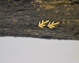 Juniper.Minimalist Stud earrings in Sterling Silver for women and men. Nature Real cypress leaf