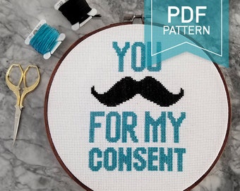 You Mustache For My Consent Funny Pun Cross Stitch Pattern PDF, Feminist, Consent, Pun, Sex Positive, Pun Gift, Mustache Pun, Respectful