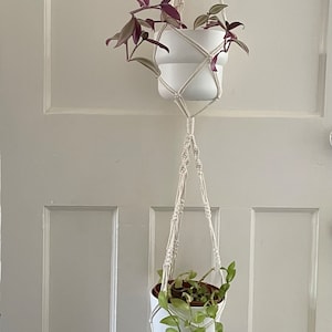 May include: Two white plant pots with green and purple plants hanging from a white macrame plant hanger.