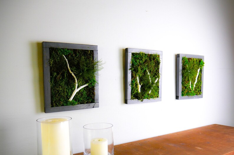 Moss Plant Living Wall Art Moss Wall Art Hanging Framed | Etsy