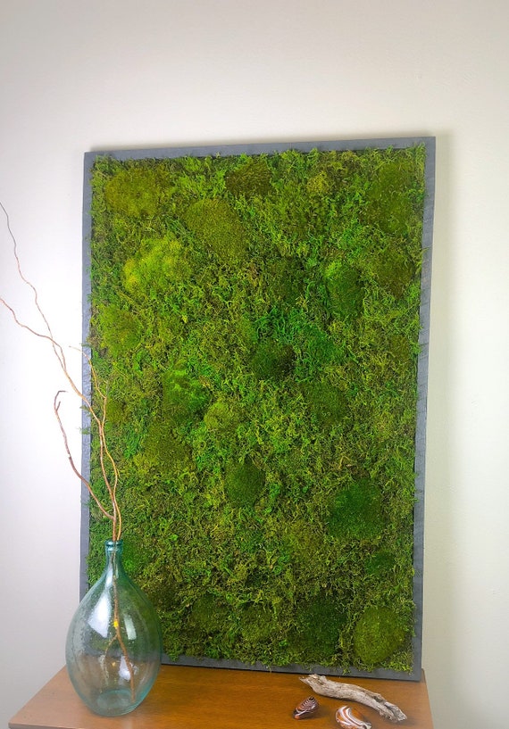 Moss Living Wall Art Nature Art Vertical Garden Preserved Moss Wall Decor Living Wall Art Plant Wall Hanging Framed Botanical Wall Art