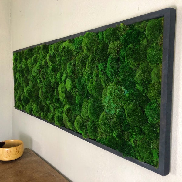 Mood Moss Decor Living Wall Art Preserved Moss Textured Wall Art, Moss Wall Decor Framed Plant Gift for Nature Lover, Wall Decor for Office