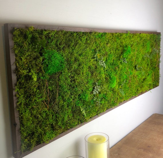 Living Moss Wall Art Indoor Framed Large Green Plant Decor No Care Vertical  Garden Woodland Wall Art Ideal for Office Environments 