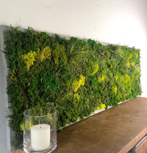 Large Moss Wall Art Vertical Garden Preserved Moss Wall Decor Living Wall Art Plant Wall Hanging Framed Botanical Wall Art