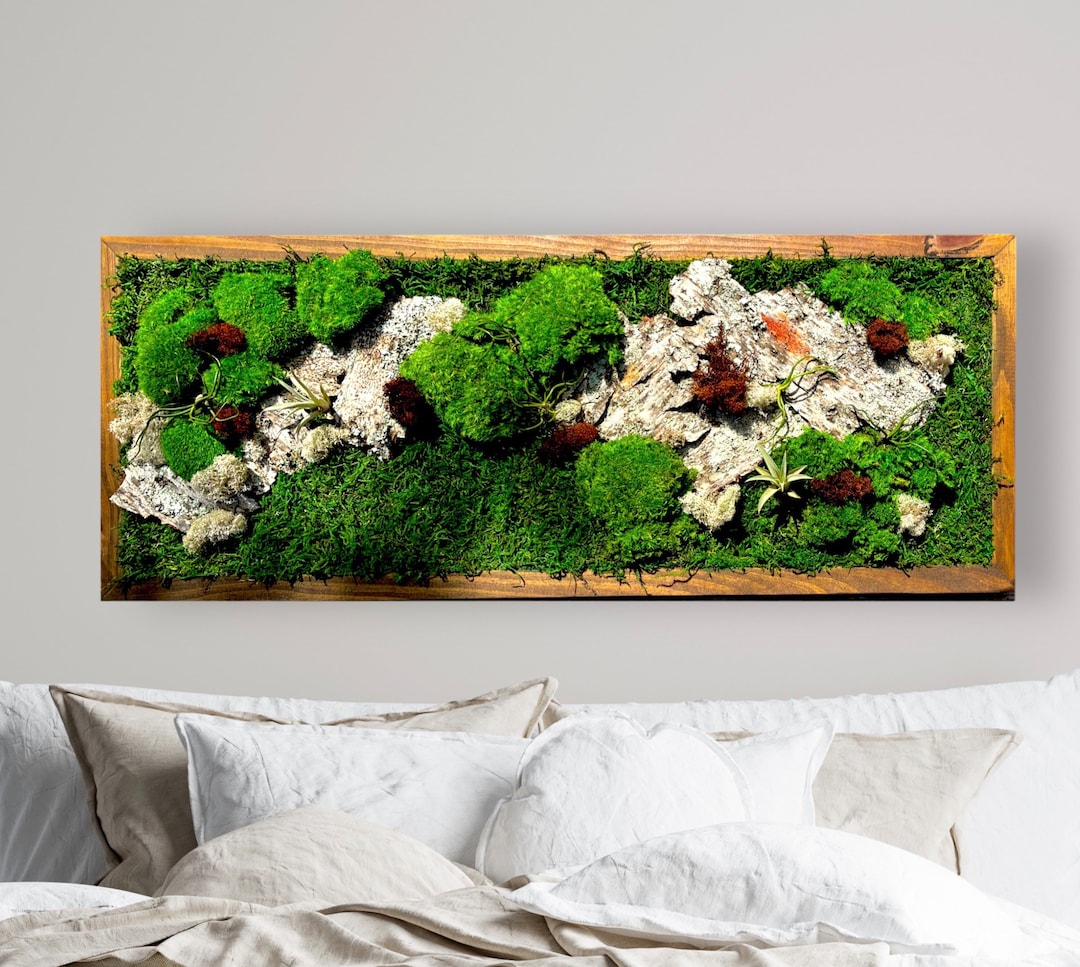 Moss Wall Art. Living Moss Art With Air Plant Decor Indoor Etsy