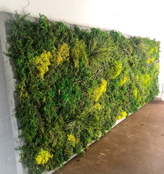 Large Moss Wall Art Vertical Garden Preserved Decor Living Plant Hanging Framed Botanical