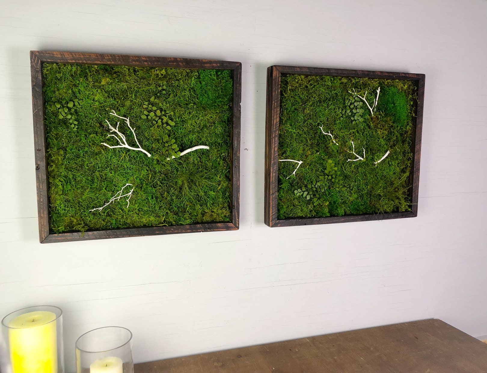 Moss Art Wall Pair Moss Art Wall Decor Preserved Moss Framed Etsy