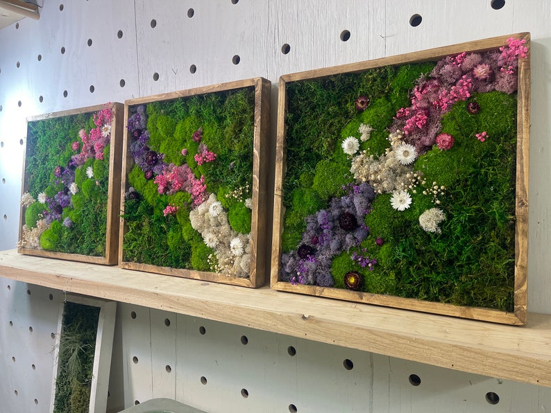 Framed Art Piece Featuring Preserved Moss Living Home Decor for a