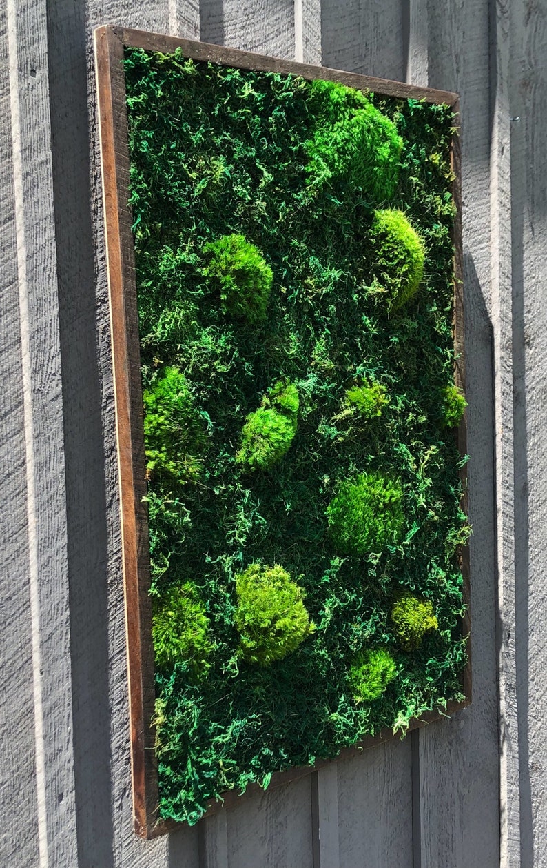 Living Moss Wall Art Nature Art Vertical Garden Preserved - Etsy