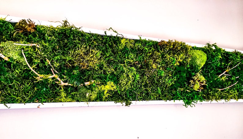 Vertical Living Wall Green Wall Sculpture Art Living Wall Vertical Garden Hanging | Etsy Vertical Living Wall Green Wall Sculpture Art Living Wall Vertical Garden Hanging | Etsy