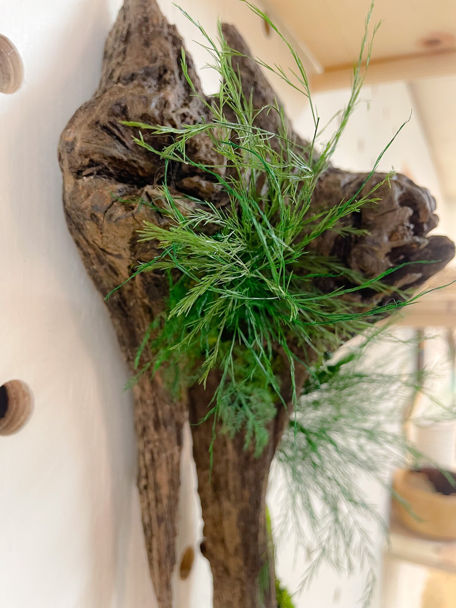 Driftwood Wall Decor Natural Wood Art Sculpture Rustic Home Etsy