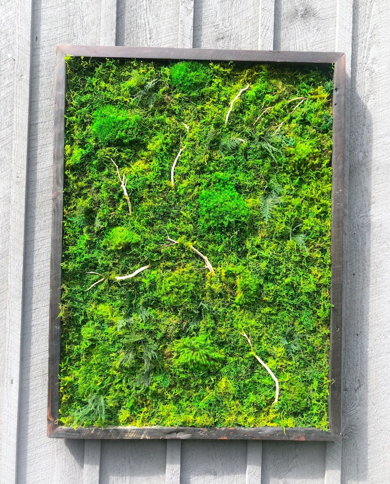 Living Moss Wall Art Nature Art Vertical Garden Preserved Etsy