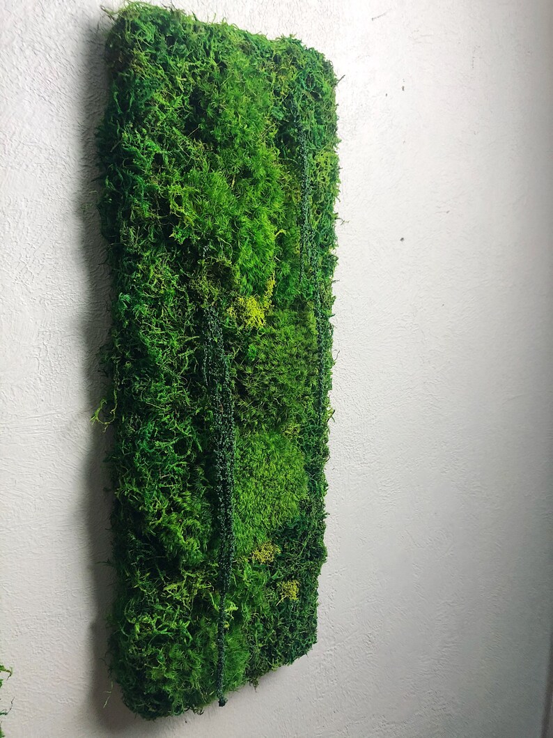 Plant Wall Art Hanging Moss Wall Art Decor Living Wall Etsy