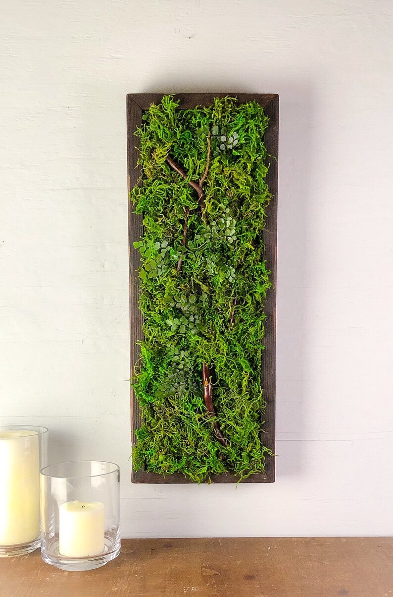 Moss Wall Hanging Large Wall Art Hanging Real Plant No Care Etsy