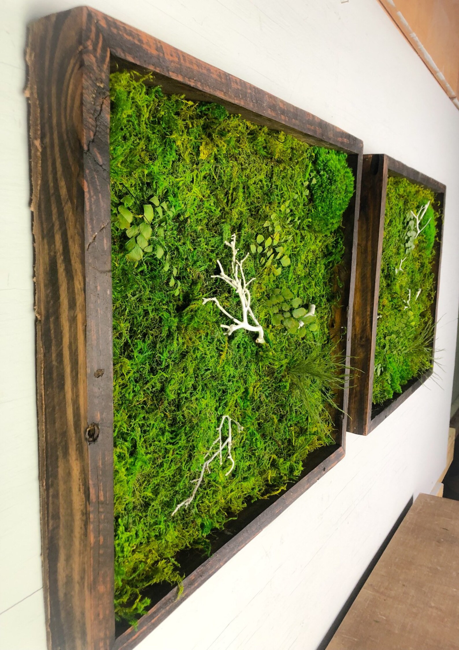 Moss Art Wall Pair Moss Art Wall Decor Preserved Moss Framed Etsy