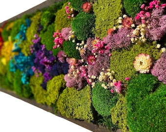 Preserved Moss Wall Decor Living Wall Art. Dried Flower Art. deal for Office Environments.  Indoor Vertical Garden. Floral Artistry Framed