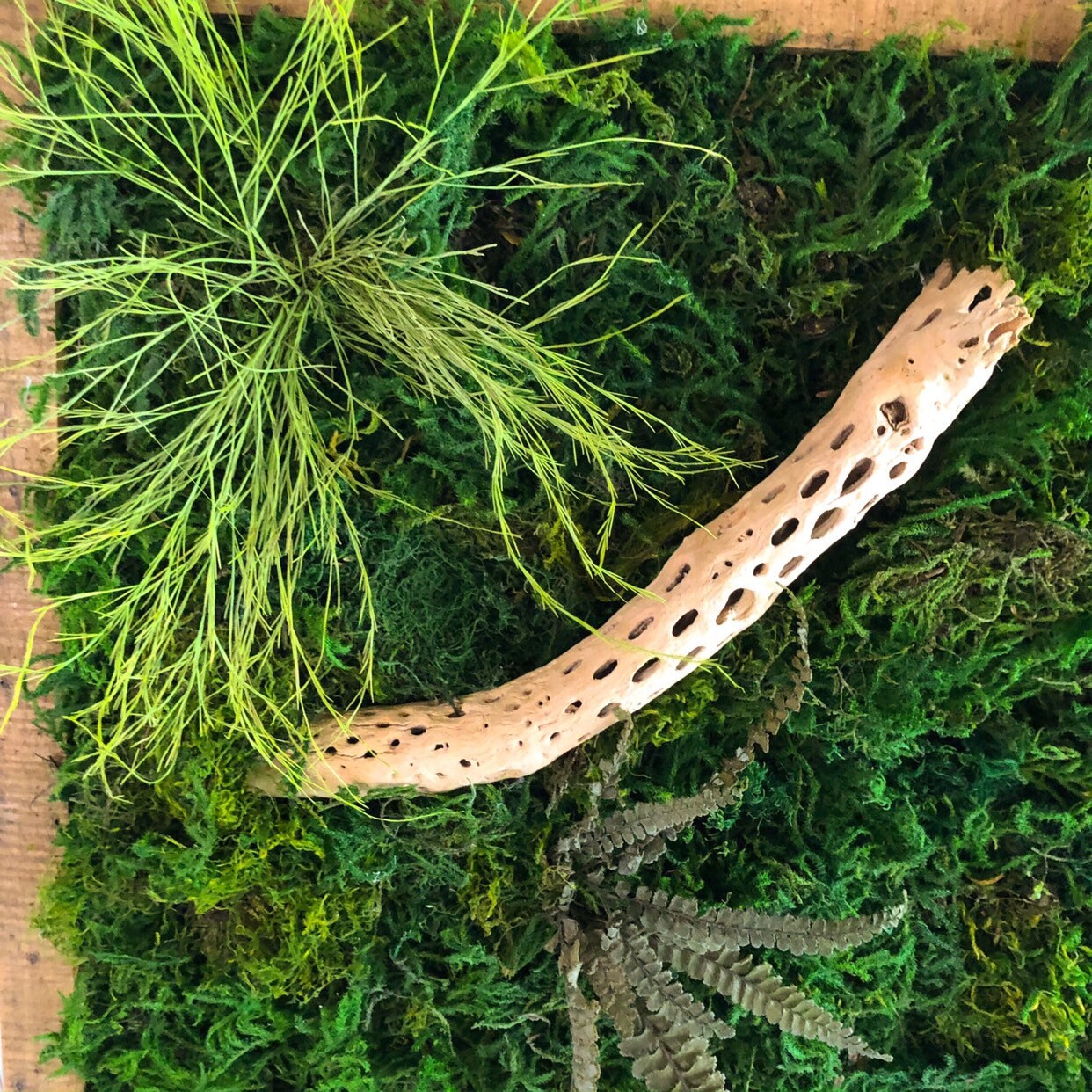 Man Cave Wall Art Large Moss Wall Art Rustic Home Decor Plant Etsy