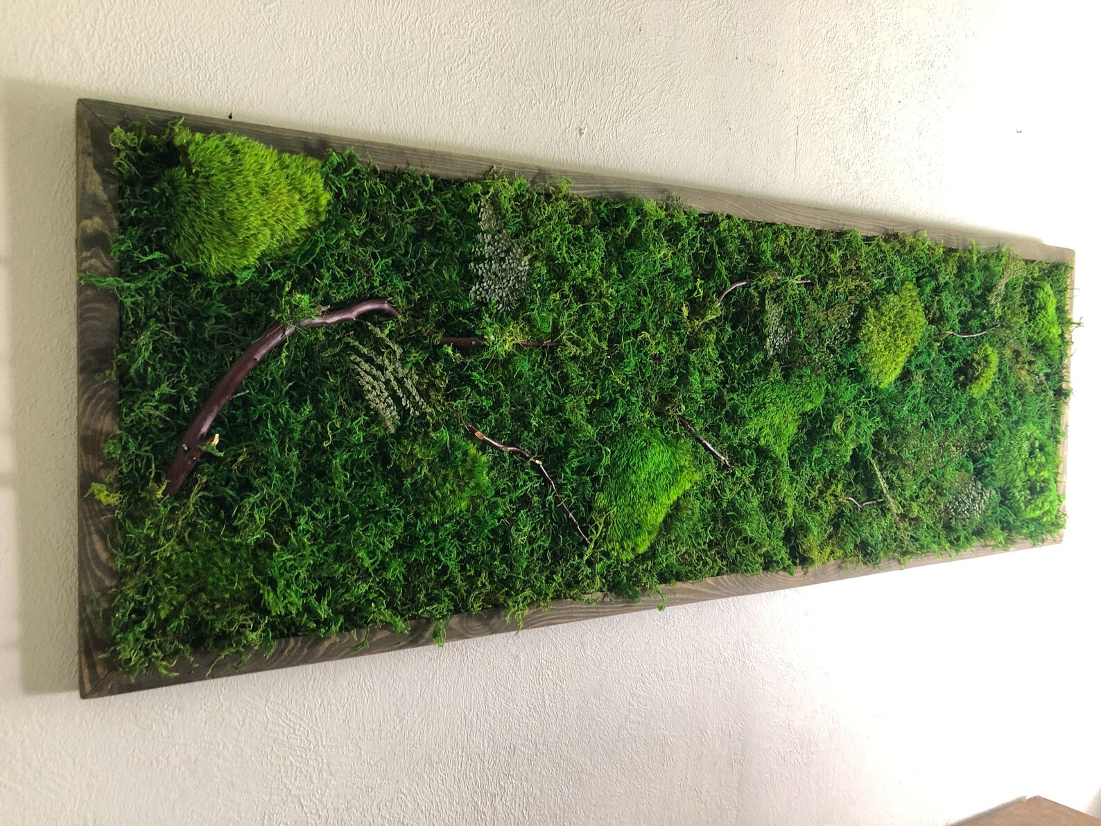 Nature Accent Wall Art Real Plant Green Moss Living Wall No Etsy