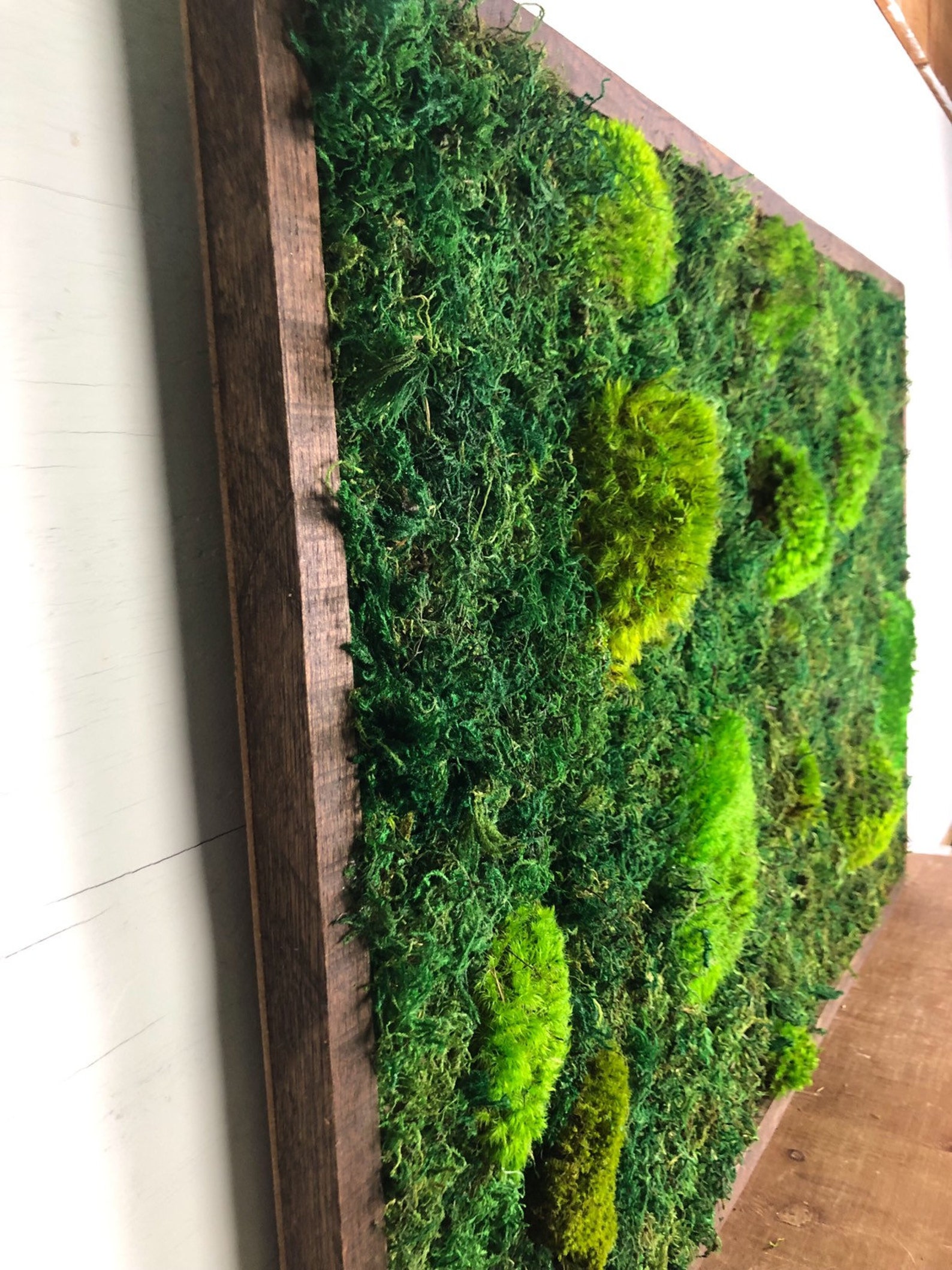 Living Moss Wall Art Nature Art Vertical Garden Preserved Etsy