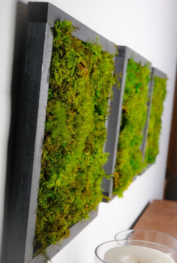 moss living decor vertical