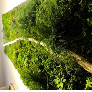 Nature wall art Preserved moss Organic modern decor Forest painting Plant sculpture Indoor living walls Wilderness artwork