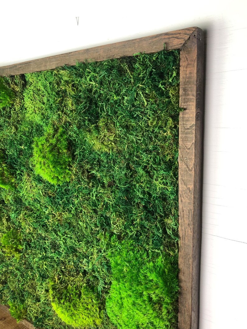 Living Moss Wall Art Nature Art Vertical Garden Preserved Etsy
