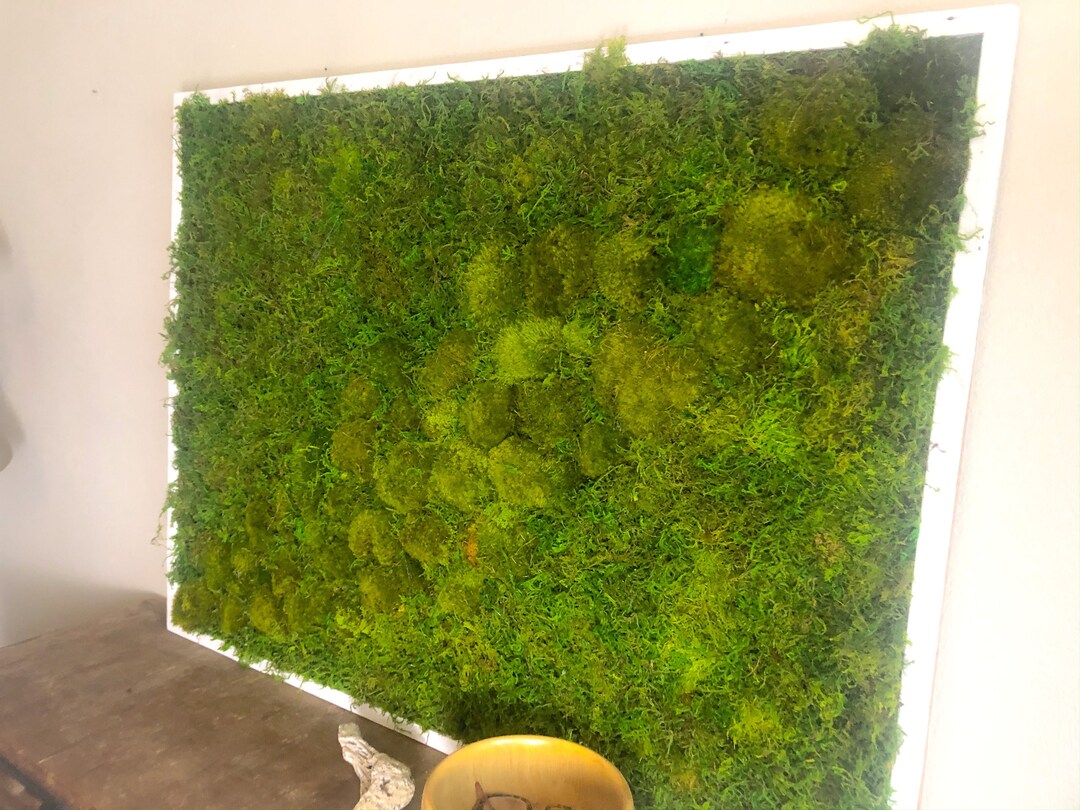 Living Moss Art Wall. Indoor Plant on Wall Panel. Live MOSS Etsy