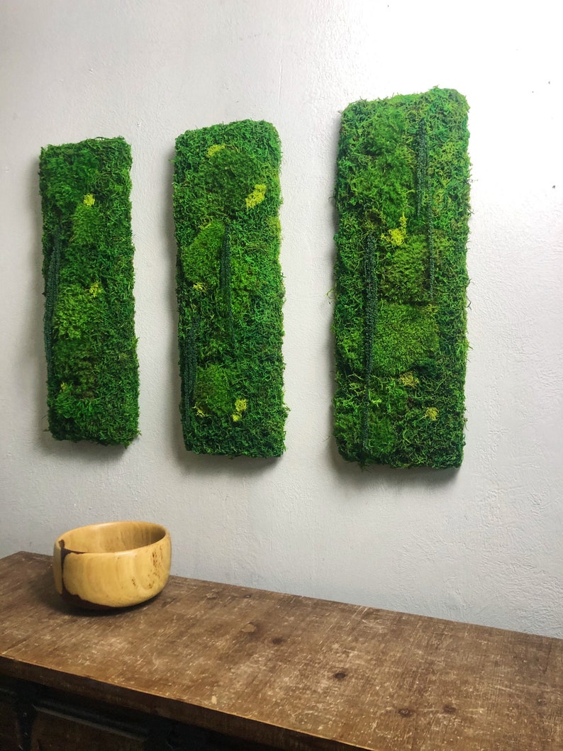 Plant Wall Art Hanging Moss Wall Art Decor Living Wall Etsy