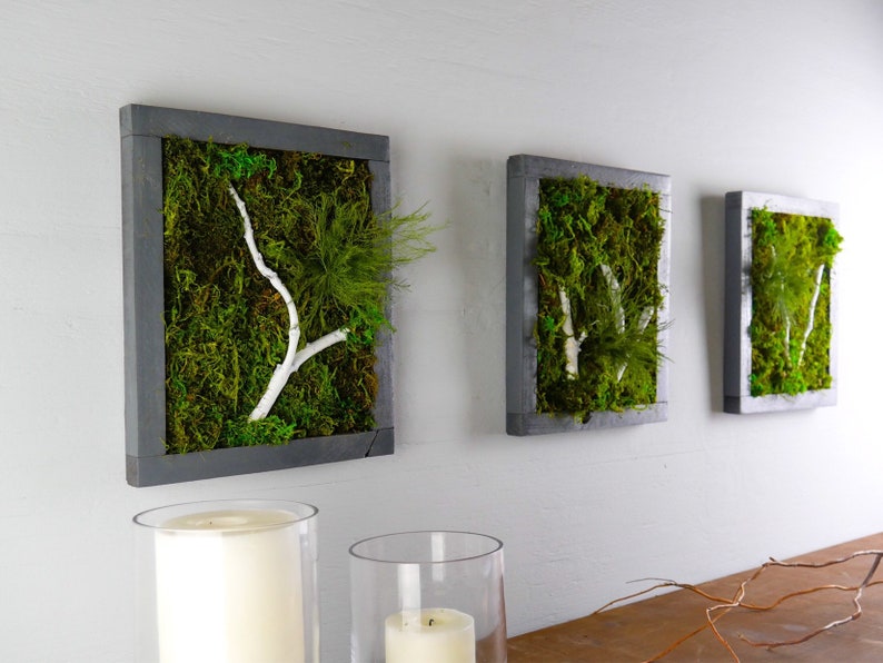 Moss Plant Living Wall Art Moss Wall Art Hanging Framed | Etsy