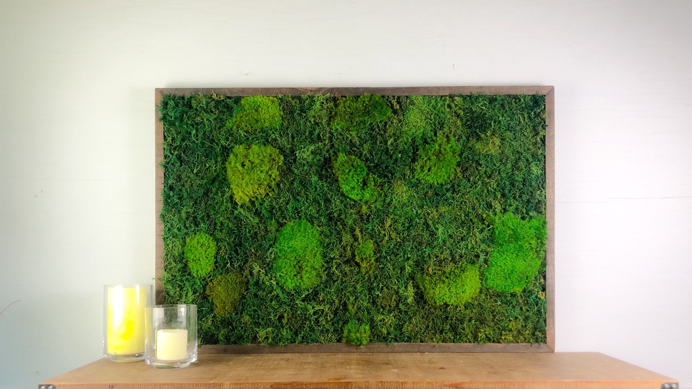 Live Mood Moss Wall Art in Brown, 11x14