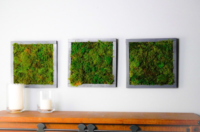 Verticle Plant Wall Art Moss Wall Art Decor Framed Living Etsy