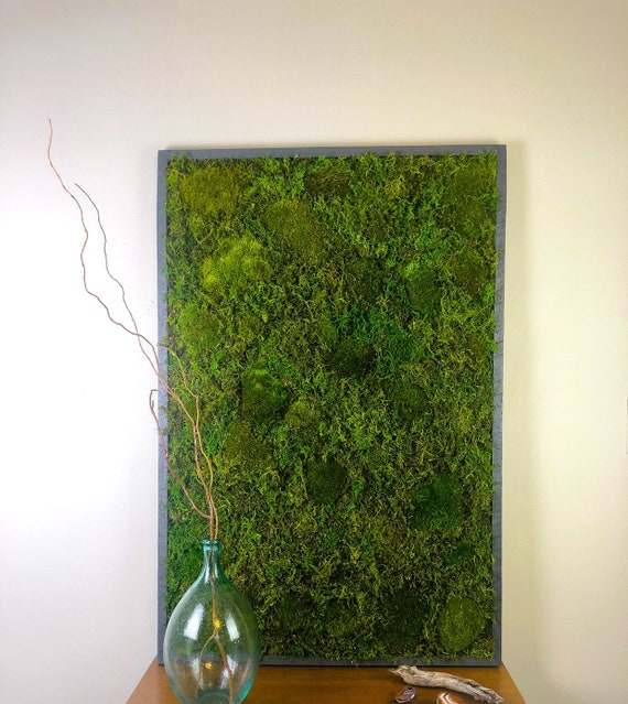 Moss Living Wall Art Nature Vertical Garden Preserved Decor Plant Hanging Framed Botanical