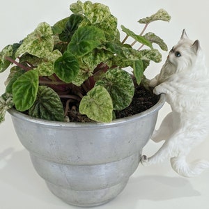 Cat Figurine Hugger Cat Flower Pot Large Hugger White Long Hair Cat Vintage Knick Knack Vintage Plant Hugger