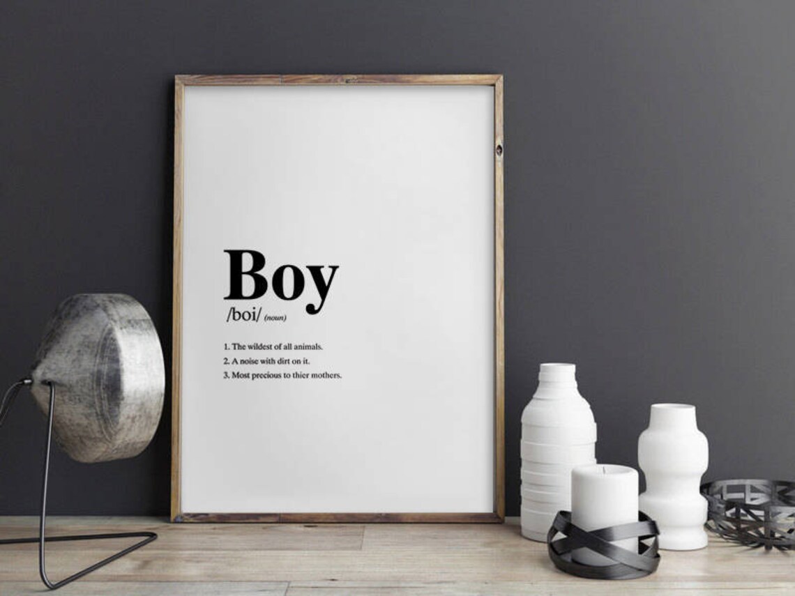 BOY DEFINITION AND MEANING visual data 8