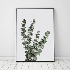 Eucalyptus Branch, Nature Wall Art, Green Wall Art Print, Leaves Print,Botanical Wall Decor, Modern Wall Art,Living Room Wall Art,Wall Decor