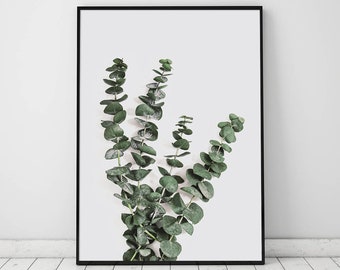 Eucalyptus Branch, Nature Wall Art, Green Wall Art Print, Leaves Print,Botanical Wall Decor, Modern Wall Art,Living Room Wall Art,Wall Decor