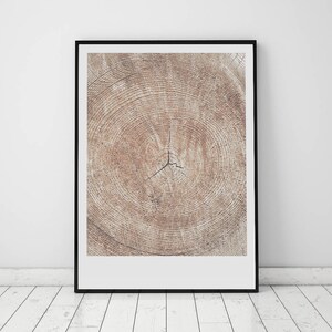 Nature form, Tree Rings Print, Nature Prints, Tree Print, Printable Pine Tree, Anniversary Gift, 16 x 20, Wood Prints, Log Slice, 8x10