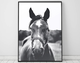 Stampa cavallo,Horse Wall Art,Arte parete in bianco e nero, stampa digitale, stampa a parete stampabile, Arredamento casa,stampa animale,regalo per lui,stampe d'arte