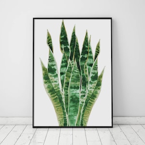 Pflanze Poster, botanische Druck, saftig Druck, Blatt Druck, tropischen Druck, Wand-Dekor, Kunstdruck, Pflanze Druck, digitaler Download, Aquarell