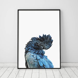 Cockatoo Bird Print, Animal Wall Art, Animal photography, Blue Bi rd Poster, Printable wall art, Large poster, Indigo print, Indigo poster