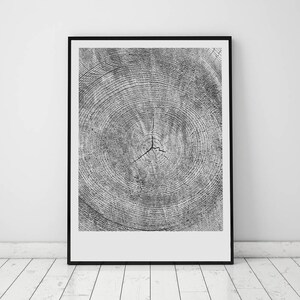 Tree Rings Print, Nature Prints, Tree Print, Nature form, Printable Pine Tree, Anniversary Gift, 16 x 20, Wood Prints, Log Slice, 8x10