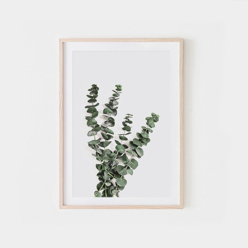 Eucalyptus Branch Nature Wall Art Green Wall Art Print Etsy
