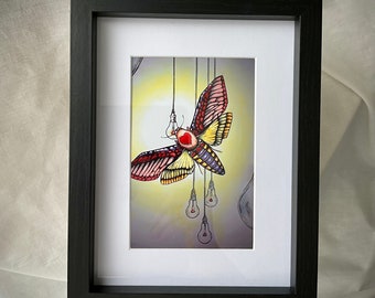 Framed Butterfly & Moth Art Print: Black Frame Farmhouse Wall Decor