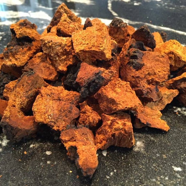 Chaga mushroom 8oz